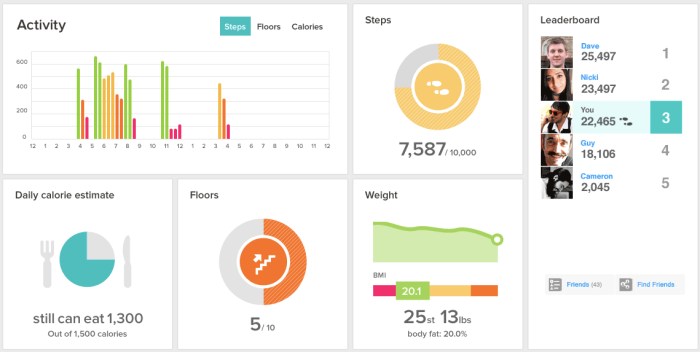 The FitBit One dashboard clearly displays all the information you need in easy to interpret charts