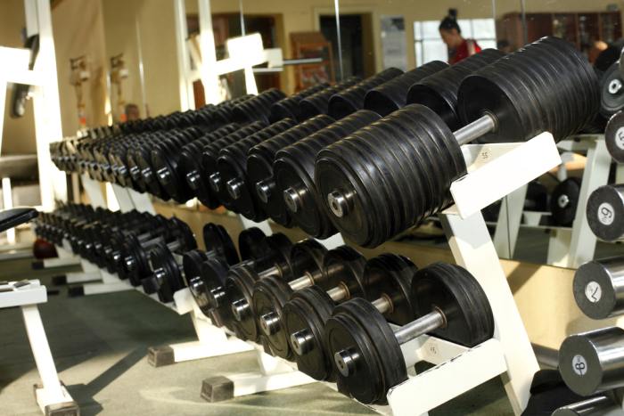 Finding a gym that has a wide range of heavy dumbbells for rows and a power rack for partials is important for more advanced training techniques