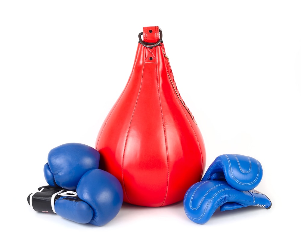 Best Speed Bag for Boxing